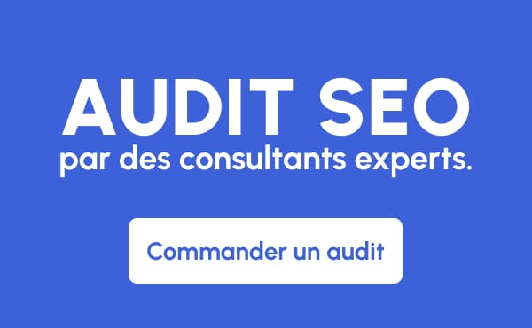 Audit SEO par des consultants experts