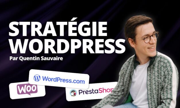 16 mois, 2 plateformes : Les résultats d’une stratégie SEO WordPress et Prestashop